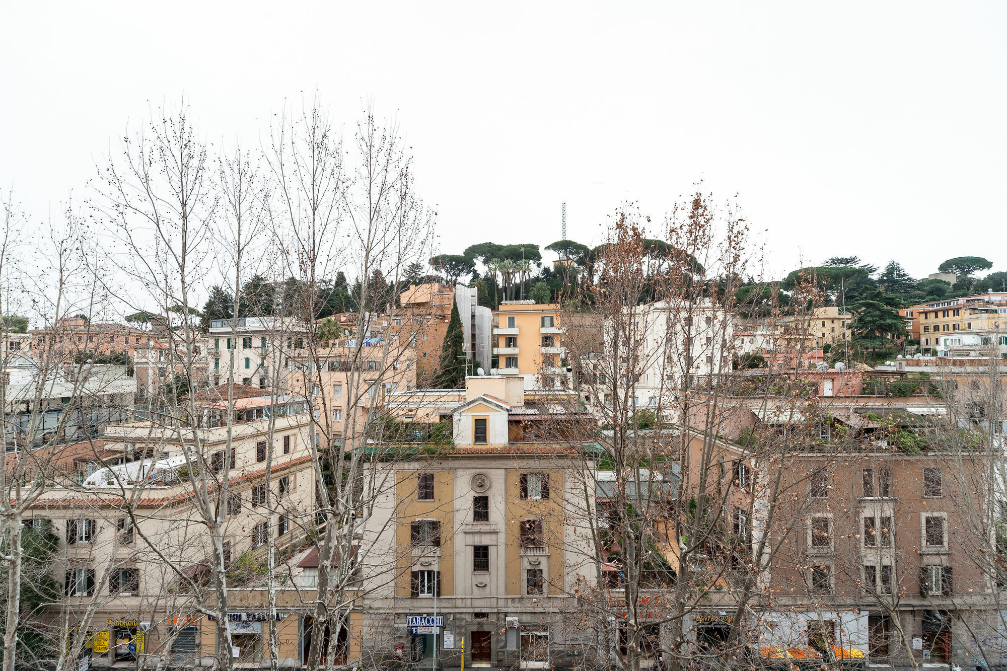 Il Rosso E Il Blu Roma